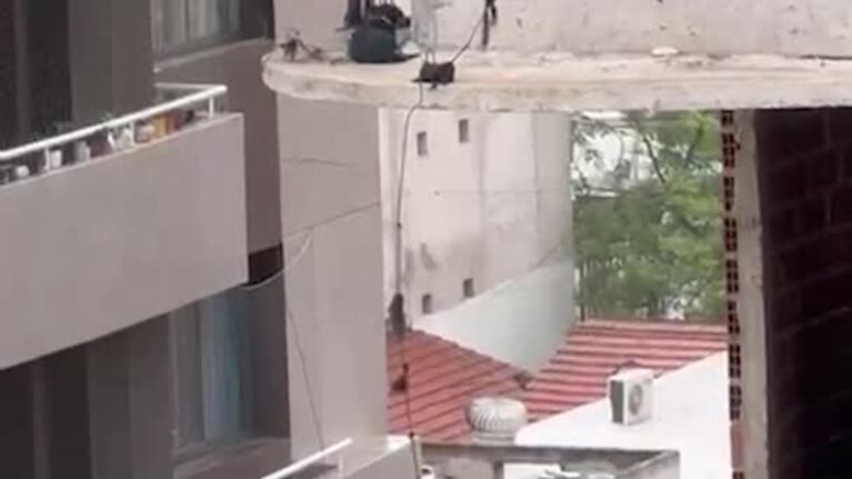 Un perro al borde del balcón del edificio abandonado