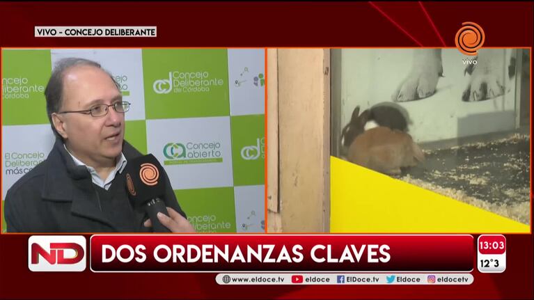 Aprobaron ordenanzas por hoteles alojamiento y animales en vidrieras