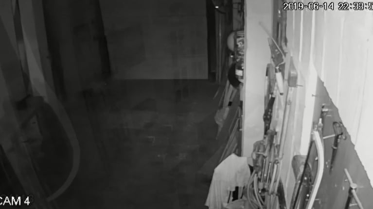 Ingresó a una vivienda y se robó un arma
