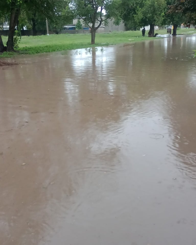 Las fuertes precipitaciones también afectaron la localidad de Bell Ville 