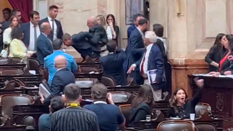 El tenso momento entre Zago y Almirón en Diputados