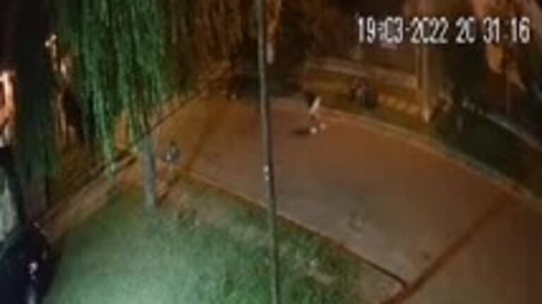 Buenos Aires: se peleó con delincuentes a los piedrazos