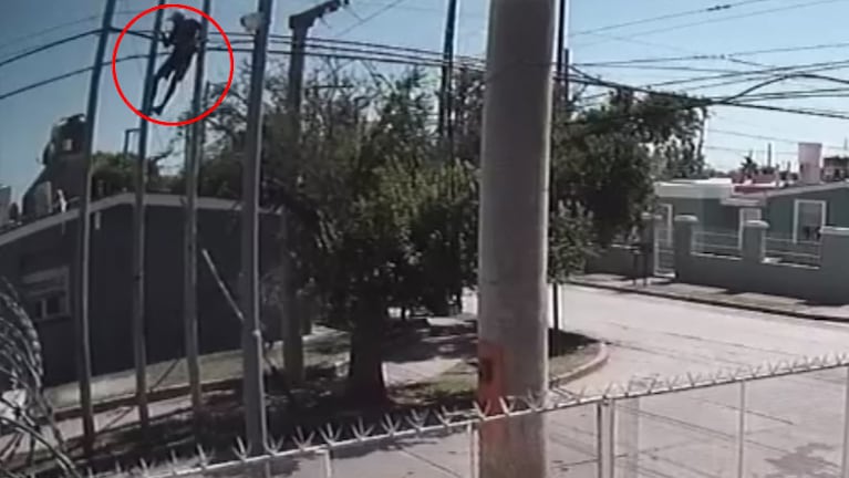 Filmaron un ladrón robando cables trepado sobre la calle