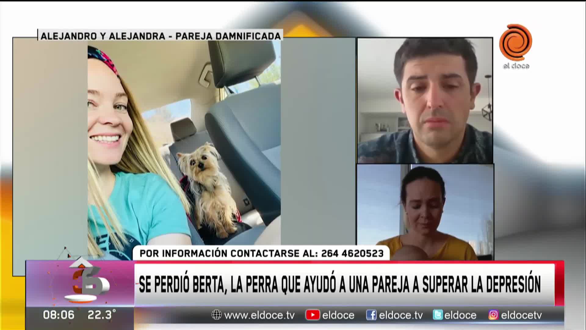 Se perdió la perrita de la familia y ofrecen una recompensa para recuperarla