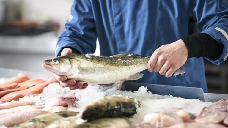 Cinco pescados ricos en vitamina D para incorporar a tu dieta y cuidar el corazón