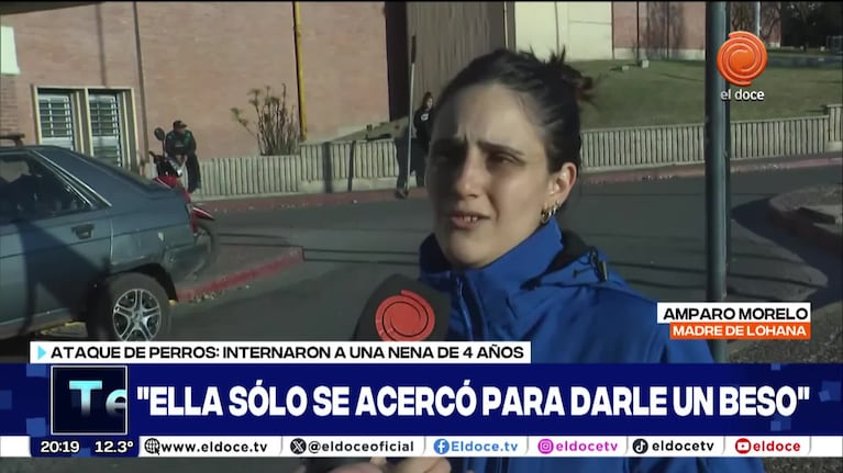 "Estuvo a medio centímetro": el impactante relato de la madre de la nena atacada por un pitbull en Córdoba