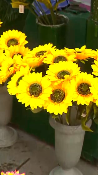 ¡Flores amarillas para recibir la Primavera!