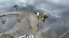 costa azul-2026-03-06_13-29-20_2021333