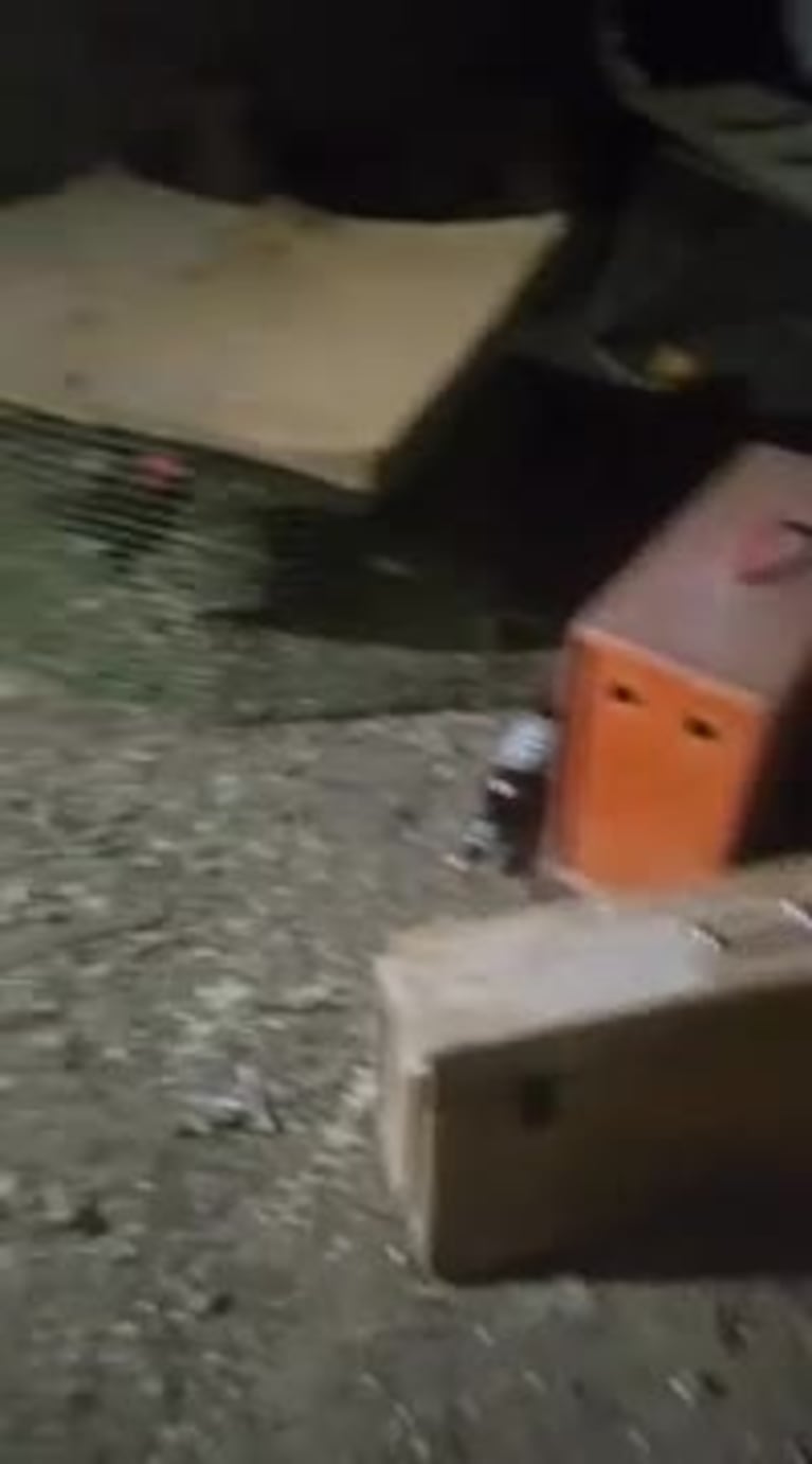 Video Placeholder