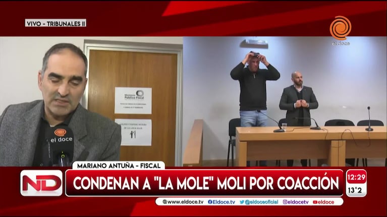 El fiscal explicó por qué la Mole Moli no irá a prisión