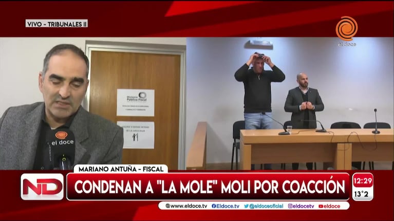 El fiscal explicó por qué la Mole Moli no irá a prisión