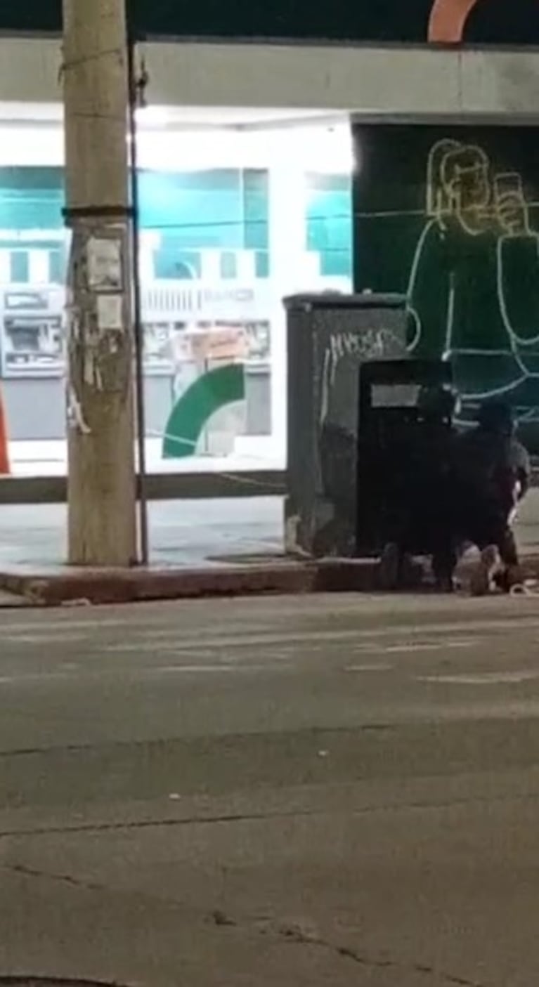 Video Placeholder