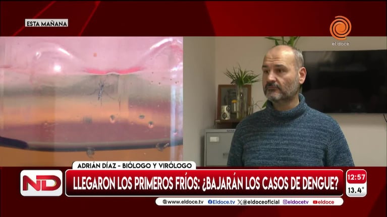 Dengue: insisten en las medidas de prevención pese al frío