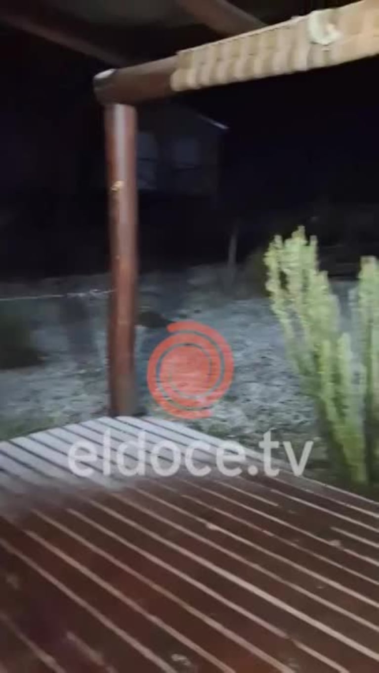 Video Placeholder