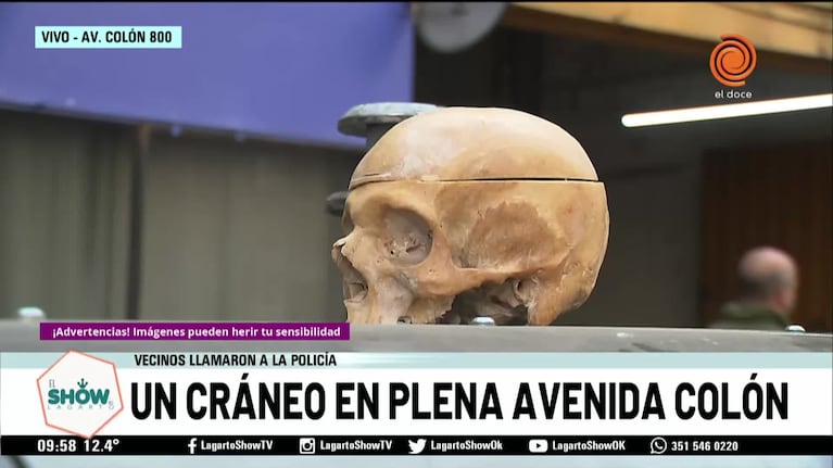 Córdoba: apareció un cráneo arriba de un contenedor