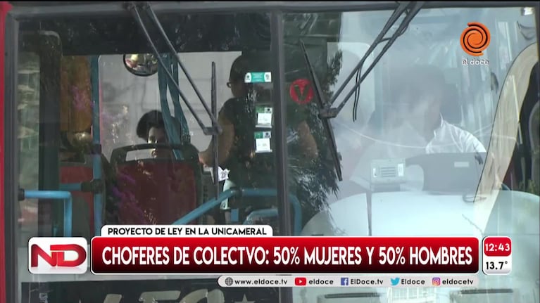 Igualdad de género: piden sumar mujeres choferes en colectivos urbanos