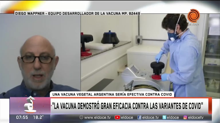 La efectividad de la vacuna vegetal Argentina 