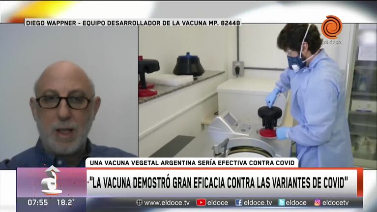 La efectividad de la vacuna vegetal Argentina