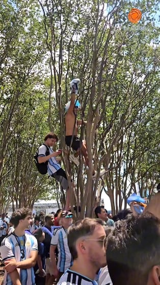 Los eufóricos festejos de los argentinos en Atlanta