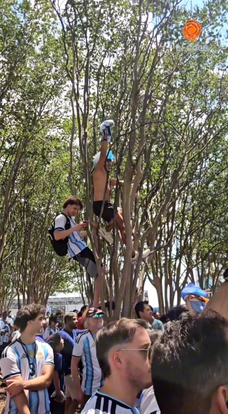 Los eufóricos festejos de los argentinos en Atlanta