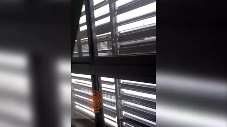 El mal momento de una nena electrodependiente