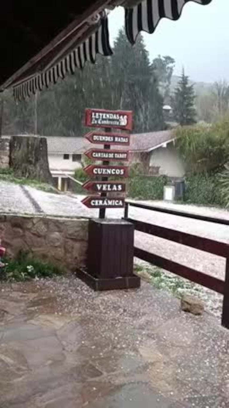 Video Placeholder