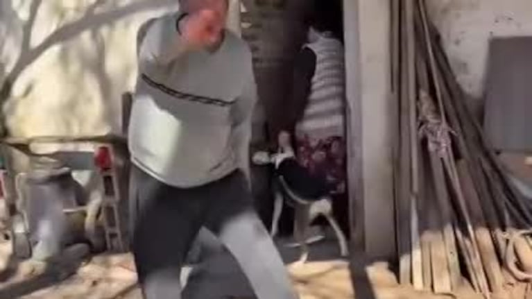 Tenso video de un caso de maltrato animal en Ticino