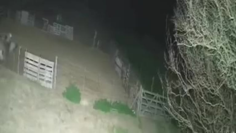 Video Placeholder