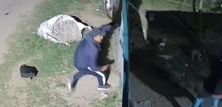 Video Placeholder