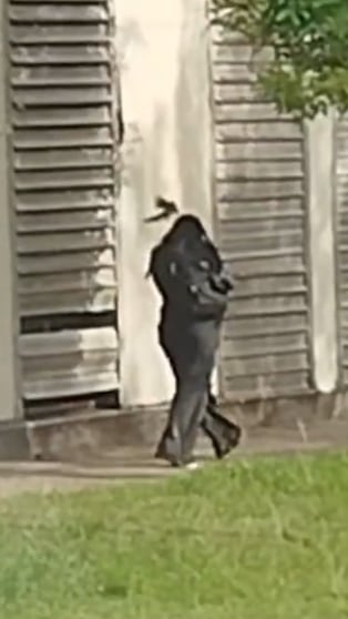 Volvió la calandria traicionera de la UNC