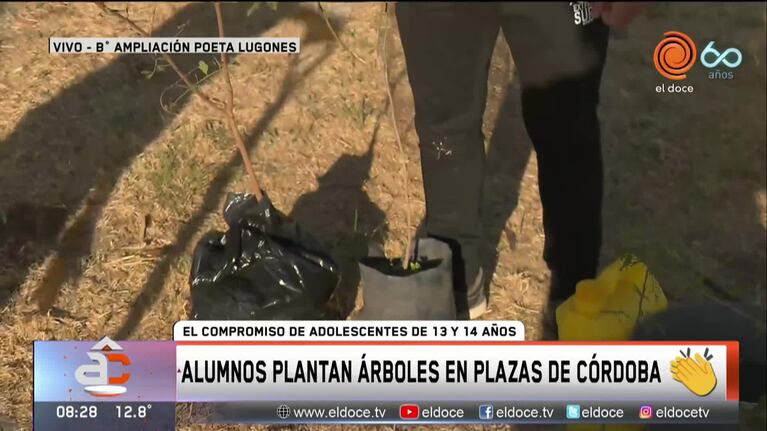 Alumnos de 13 y 14 años plantan árboles en las plazas de Córdoba