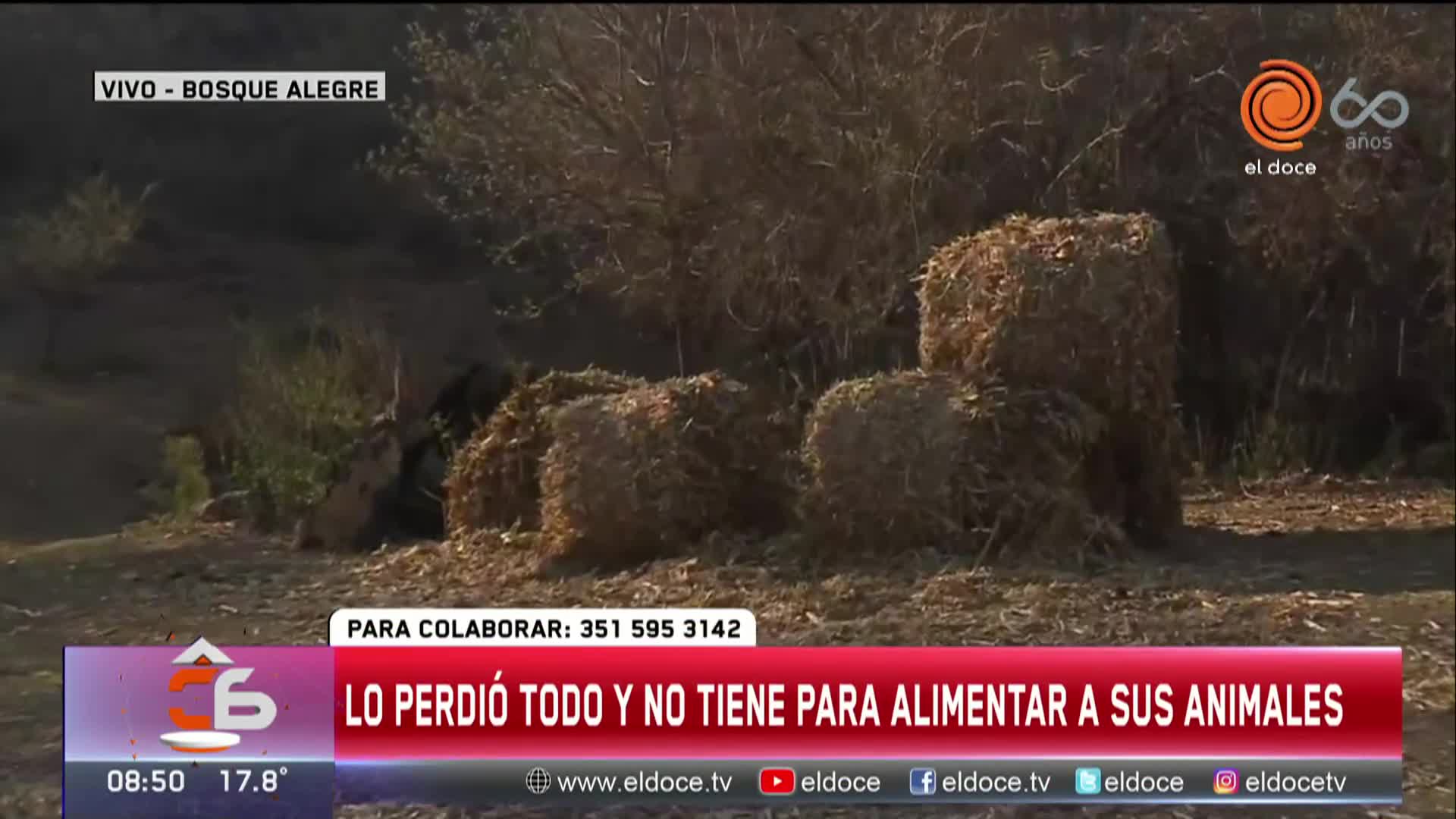 Lo perdió todo con el incendio y no tiene ni para alimentar a sus animales