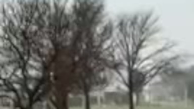 Friazón en Córdoba: así fue la llegada de la nieve