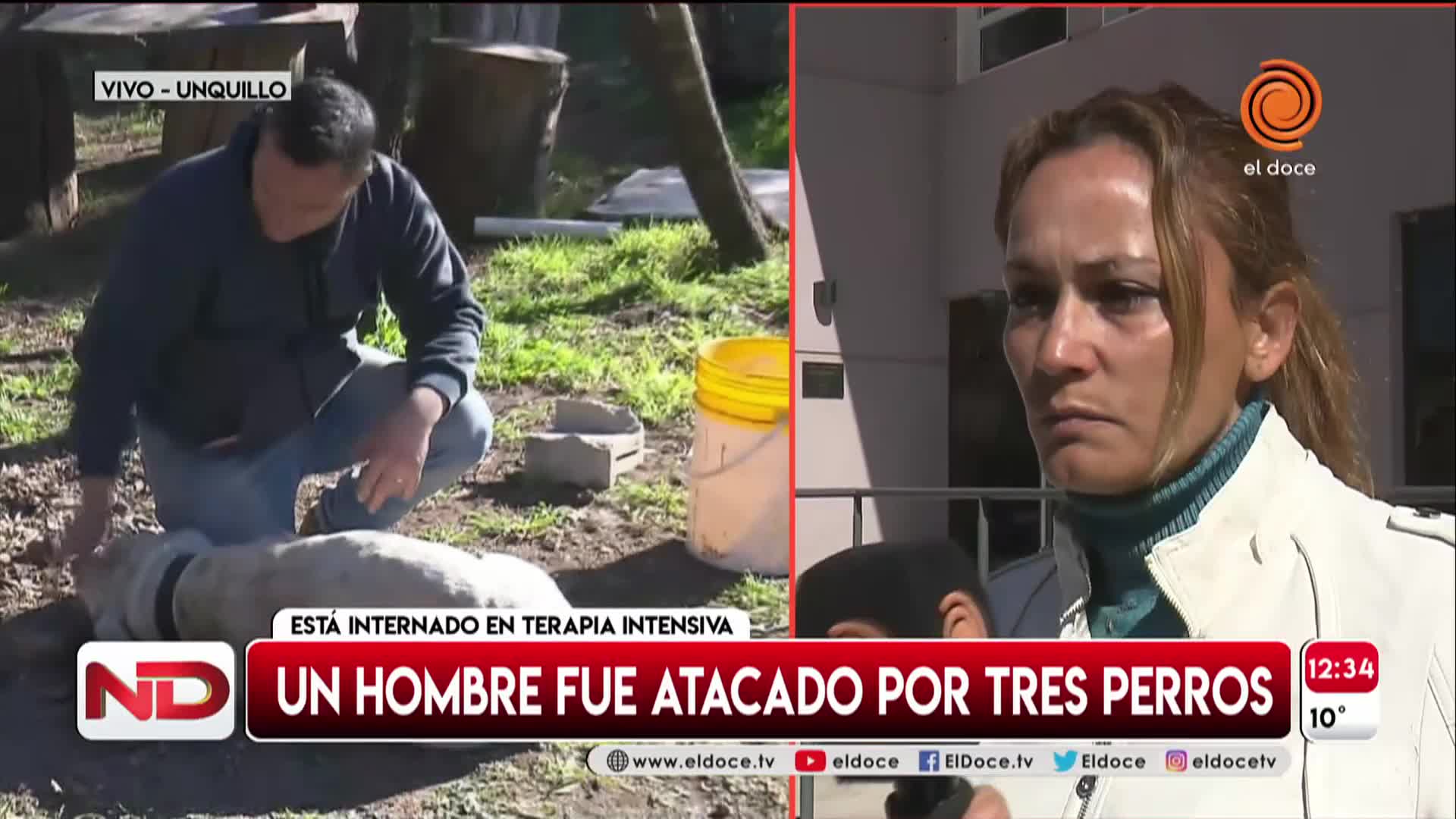 Repartidor atacado por perros: versiones cruzadas entre el dueño y una vecina