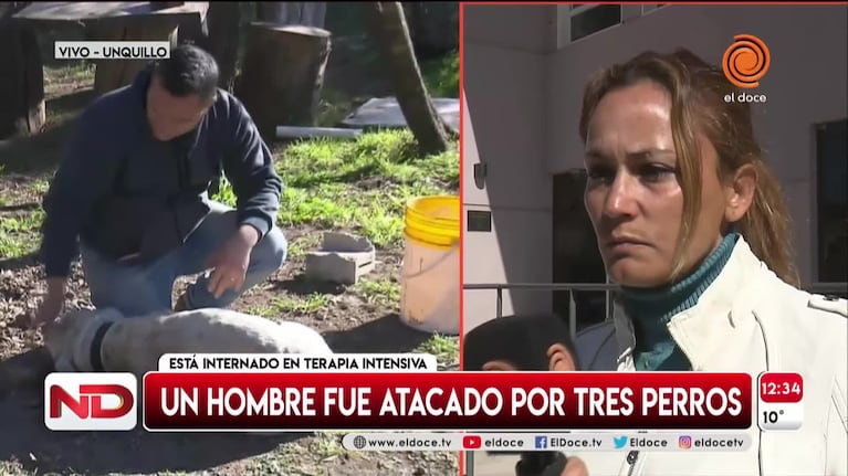 Repartidor atacado por perros: versiones cruzadas entre el dueño y una vecina