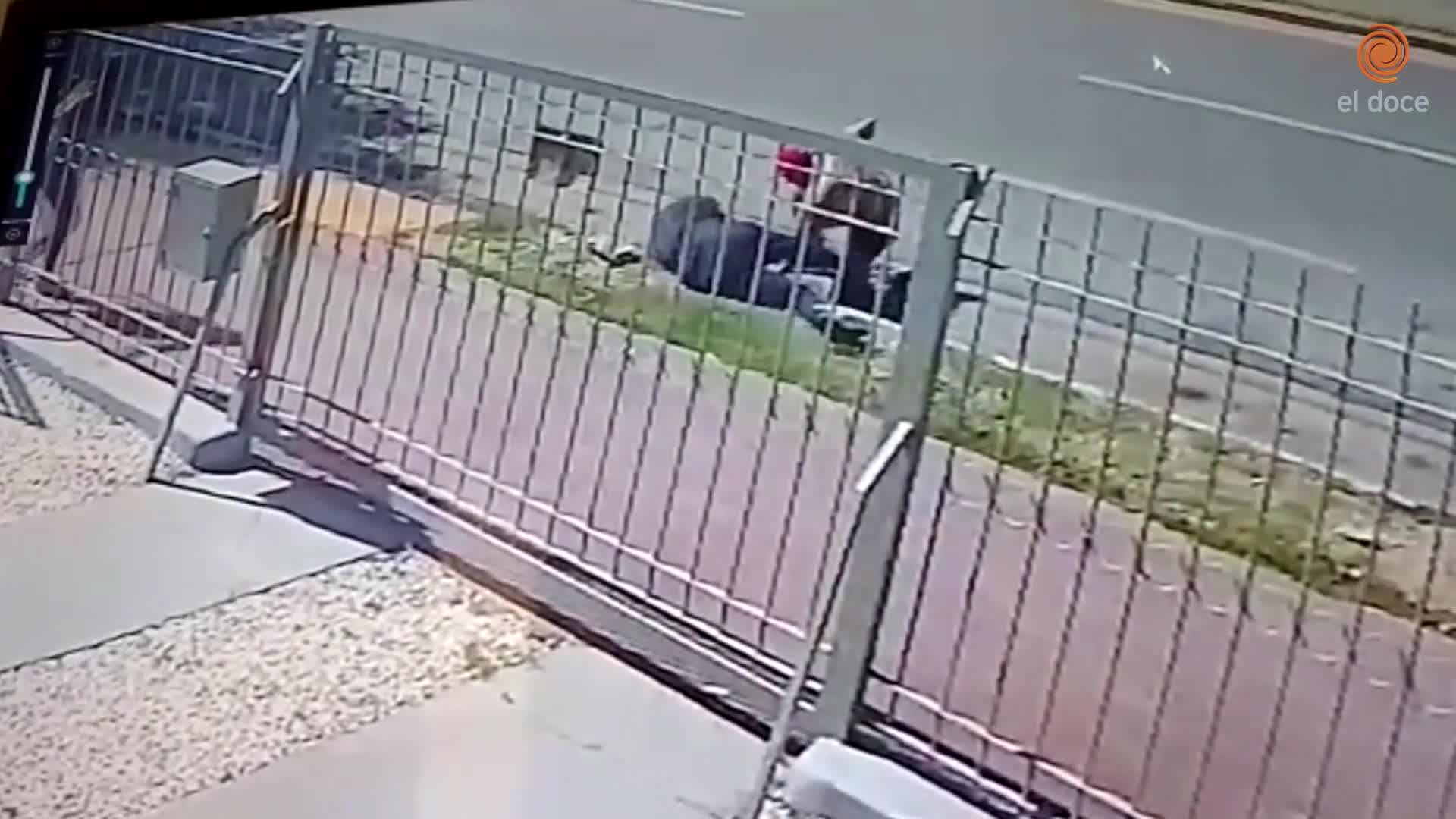 Violento intento de robo en la puerta de un CPC