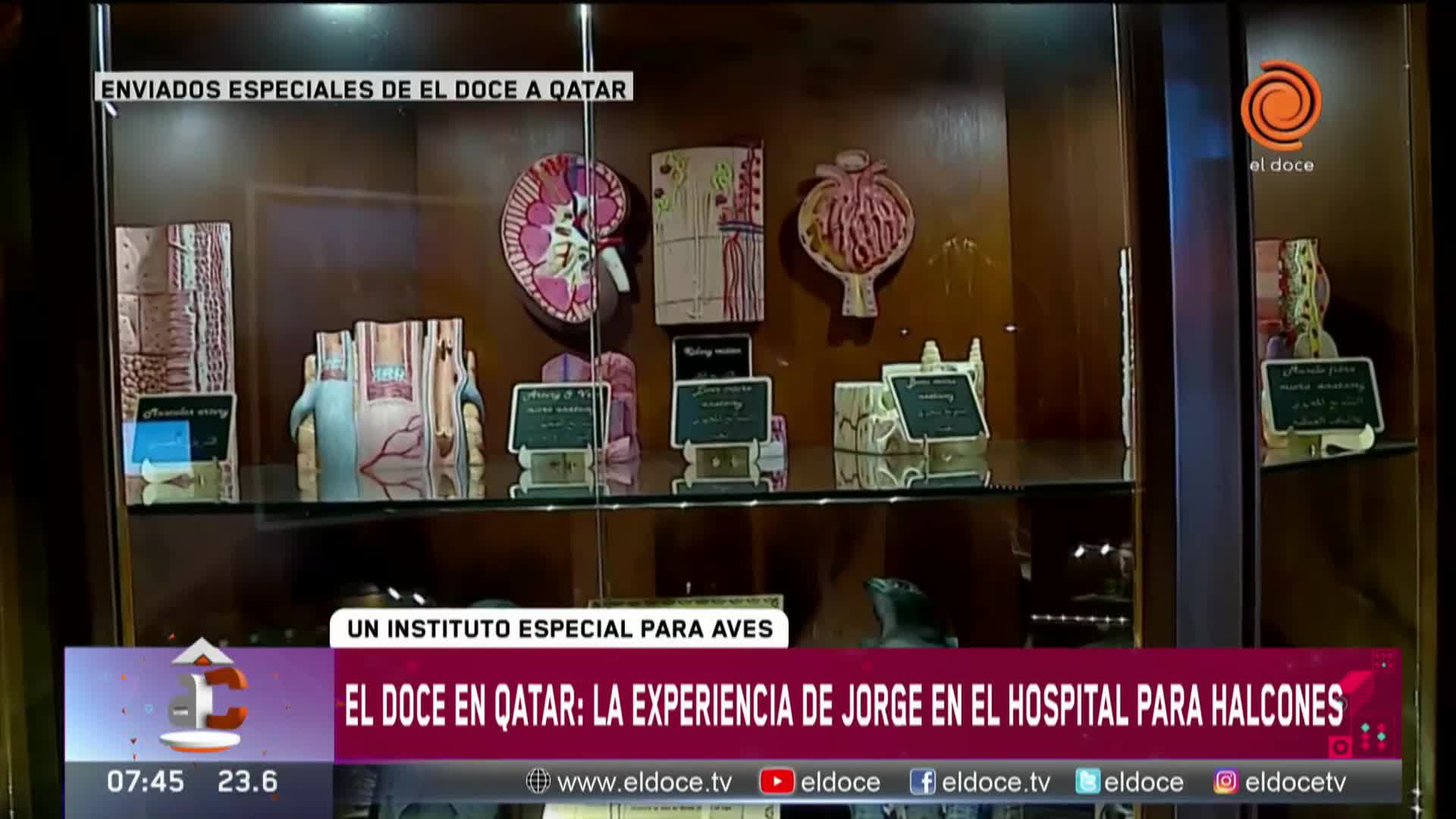 Jorge Cuadrado visitó el hospital para halcones