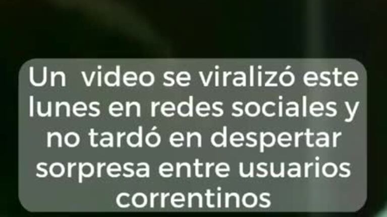 Vecinos filmaron a un supuesto lobizón