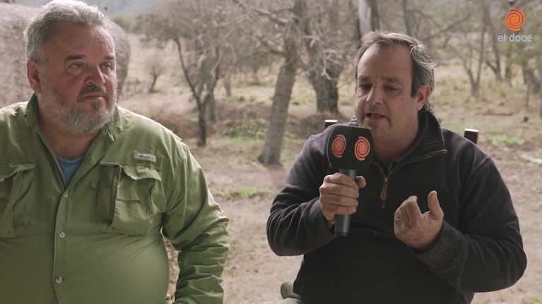 El criadero de dogos más grande de Argentina