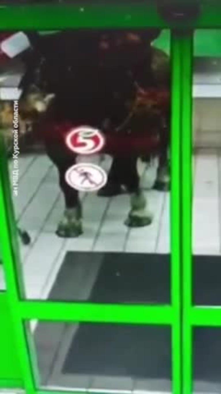 Un hombre borracho entró a un supermercado a caballo