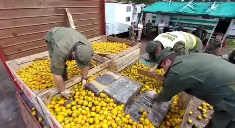 1800 kilos de marihuana escondidos en un camión de mandarinas