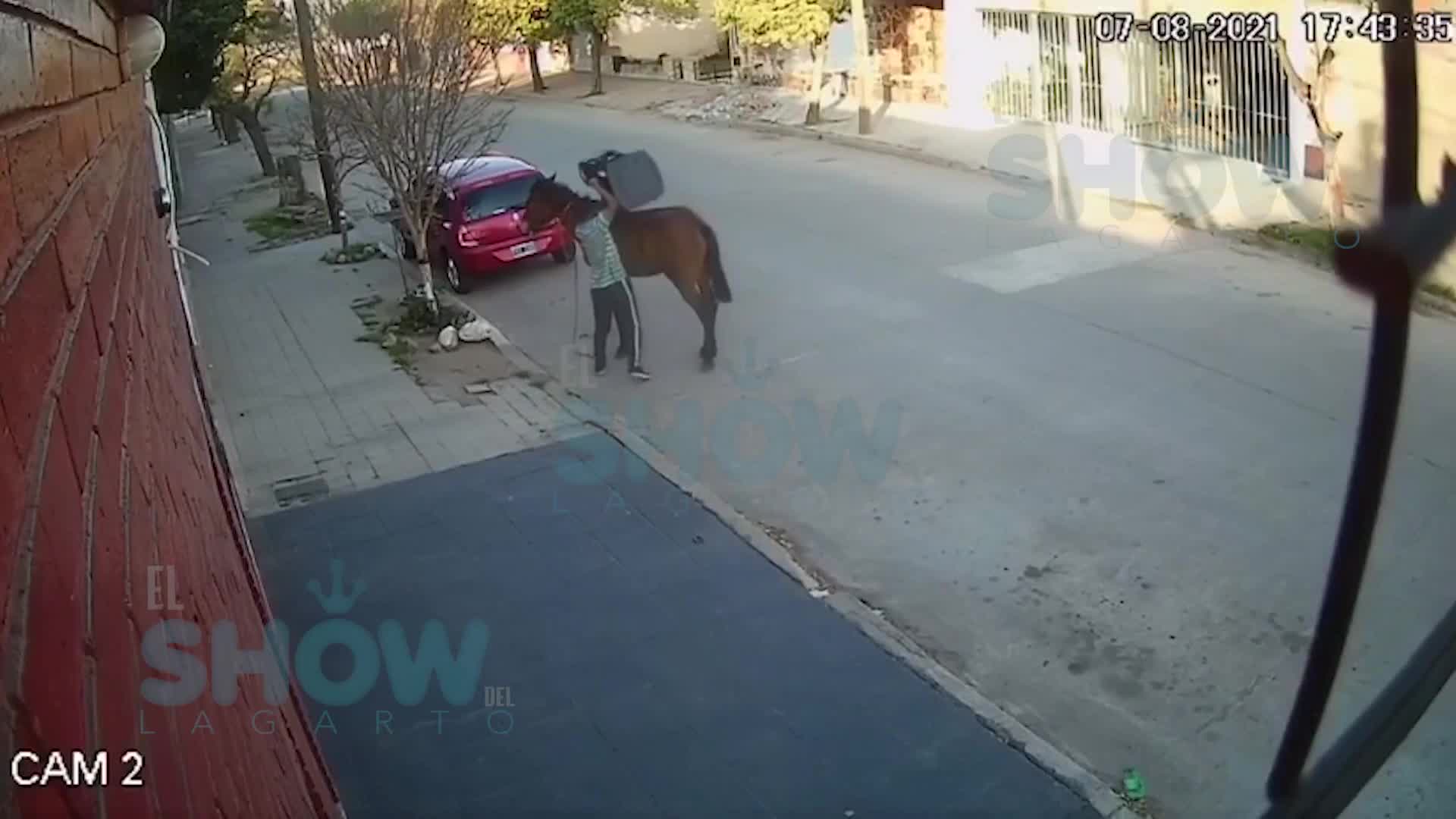 Un ladrón a caballo en barrio Alto General Paz