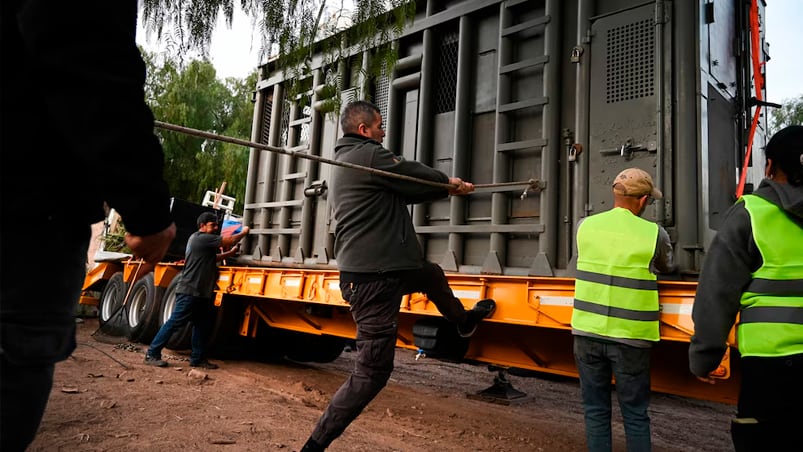 El viaje de Kenya rumbo a la libertad en Brasil