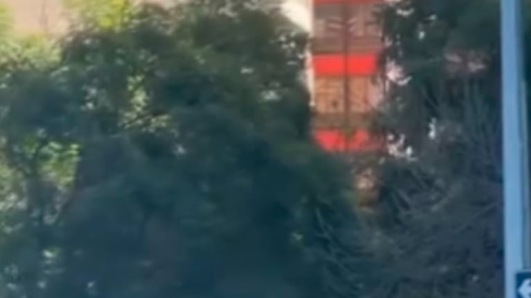 Naranjita a los golpes en Nueva Córdoba