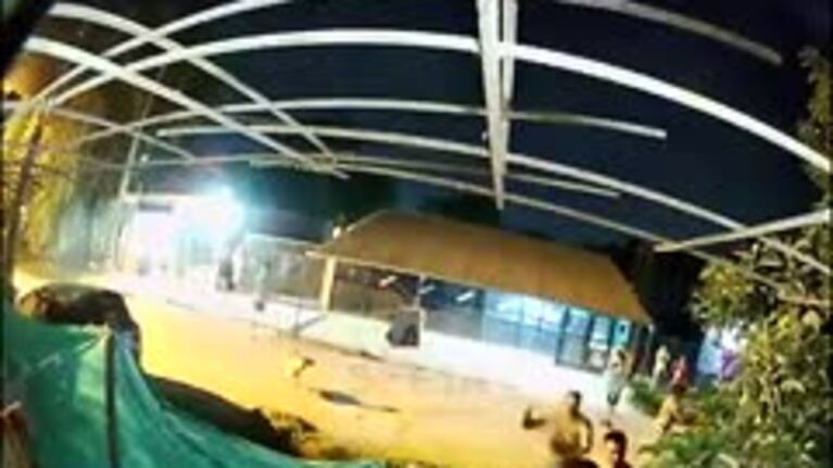 Un pollo y un perro, los detonantes de una pelea entre familias