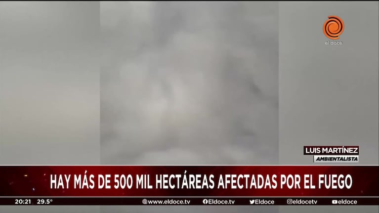 Incendios en Corrientes: advierten que la situación es "catastrófica"