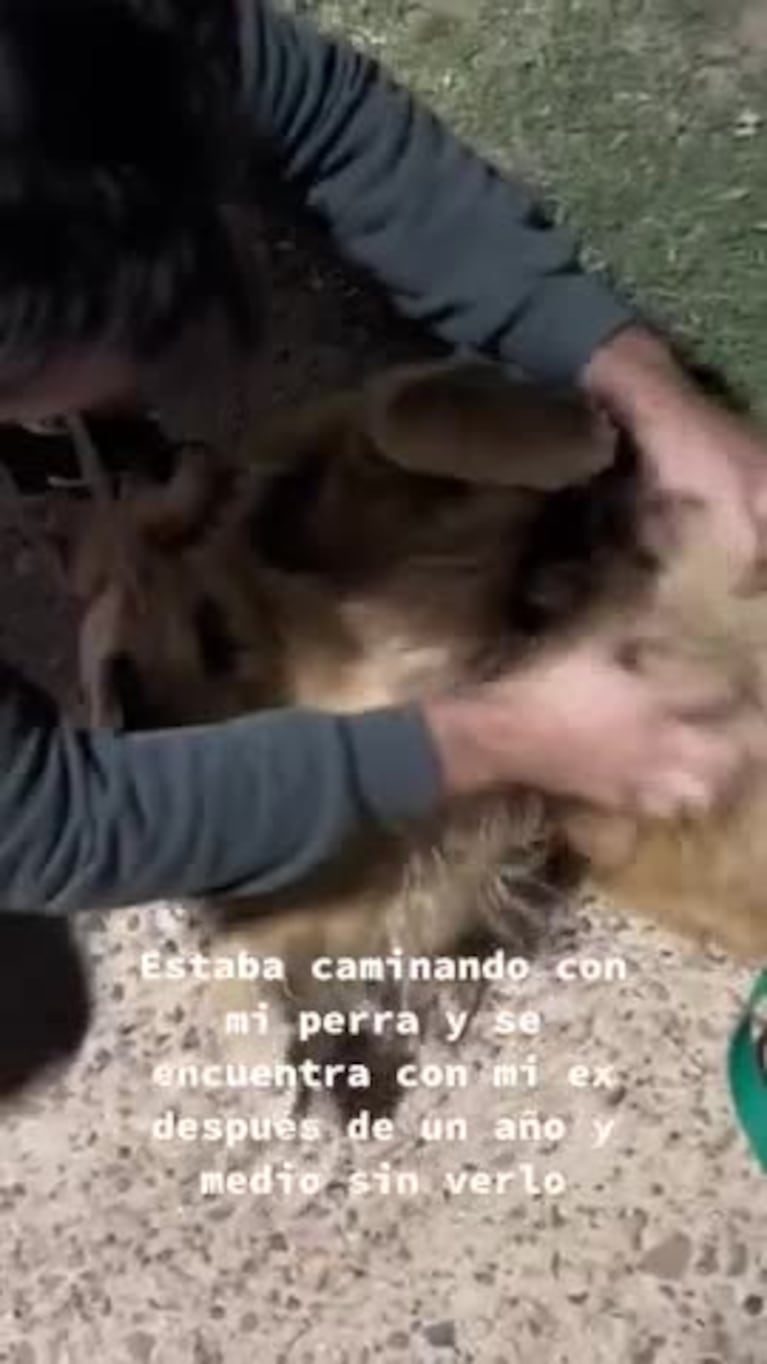 Increíble reacción de una perra al ver al ex de su dueña