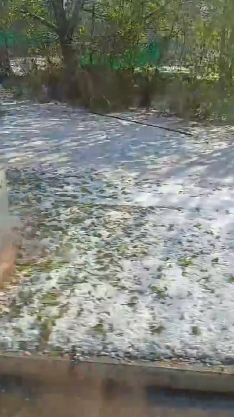 Un “manto de nieve”: así quedaron las calles de Argüello tras la tremenda caída de granizo