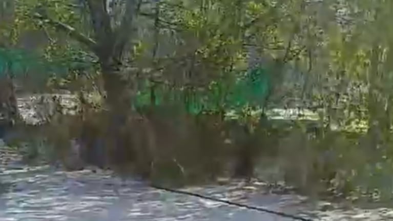 Un “manto de nieve”: así quedaron las calles de Argüello tras la tremenda caída de granizo
