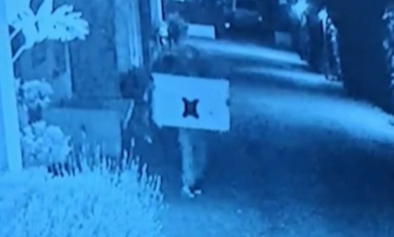 Entraron a robar a un housing, se llevaron de todo y quedaron filmados